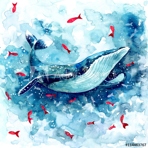 500x500 Watercolor Magic Whale - Watercolor Magic