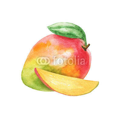400x400 Hand Drawn Watercolor Mango Composition Isolated On White - Watercolor Mango