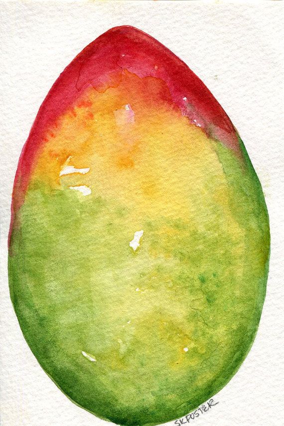 570x854 Mango Watercolor Painting, Mango Painting, Original Watercolor, 4 - Watercolor Mango