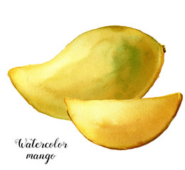261x240 Search Photos Watercolor Mango - Watercolor Mango