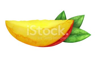 335x200 Watercolor Mango Fruit Slice And Leaves Closeup Isolated Stock - Watercolor Mango