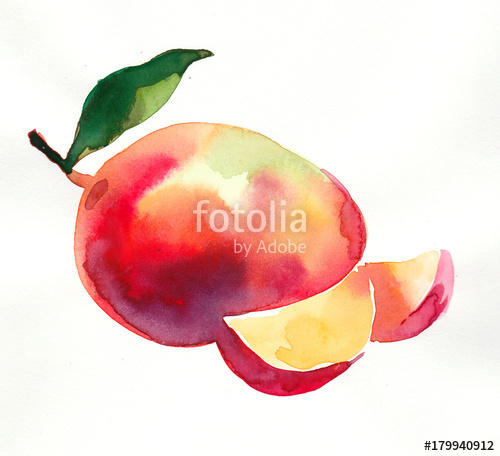 500x456 Watercolor Mango Stock Photo And Royalty Free Images On Fotolia - Watercolor Mango
