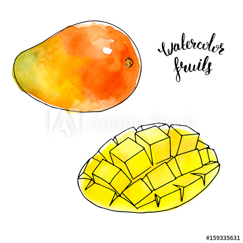 500x500 Watercolor Mango Fruit With Slice Cut To Cubes Isolated On White - Watercolor Mango