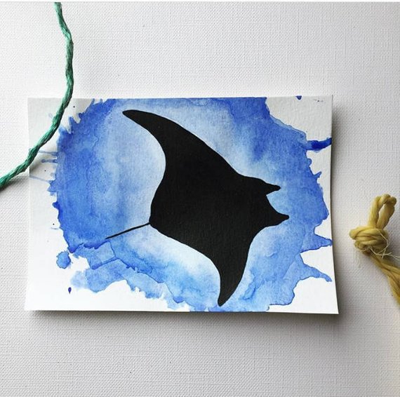 570x566 Manta Ray Watercolor Original - Watercolor Manta Ray