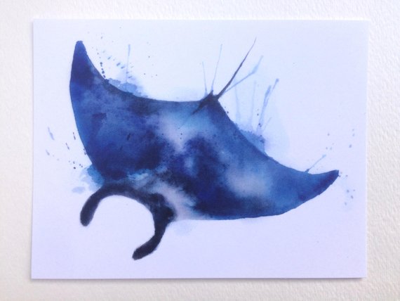 570x428 Manta Ray Watercolor Print 4x6 Recycled Matte Postcard Etsy - Watercolor Manta Ray