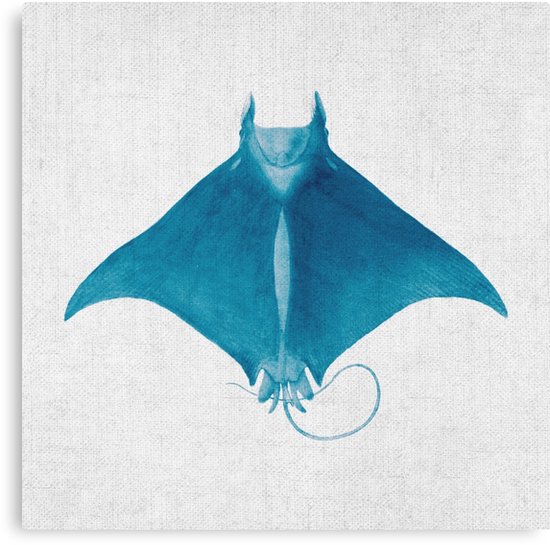 550x545 Bright Blue Stingray Giant Manta Ray Watercolor Nature Nautical - Watercolor Manta Ray