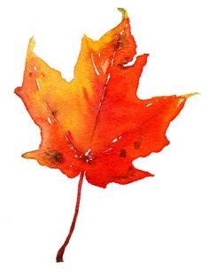 236x312 Maple Leaf Original Watercolor Art Still Life By Francinamaria - Watercolor Maple Leaves