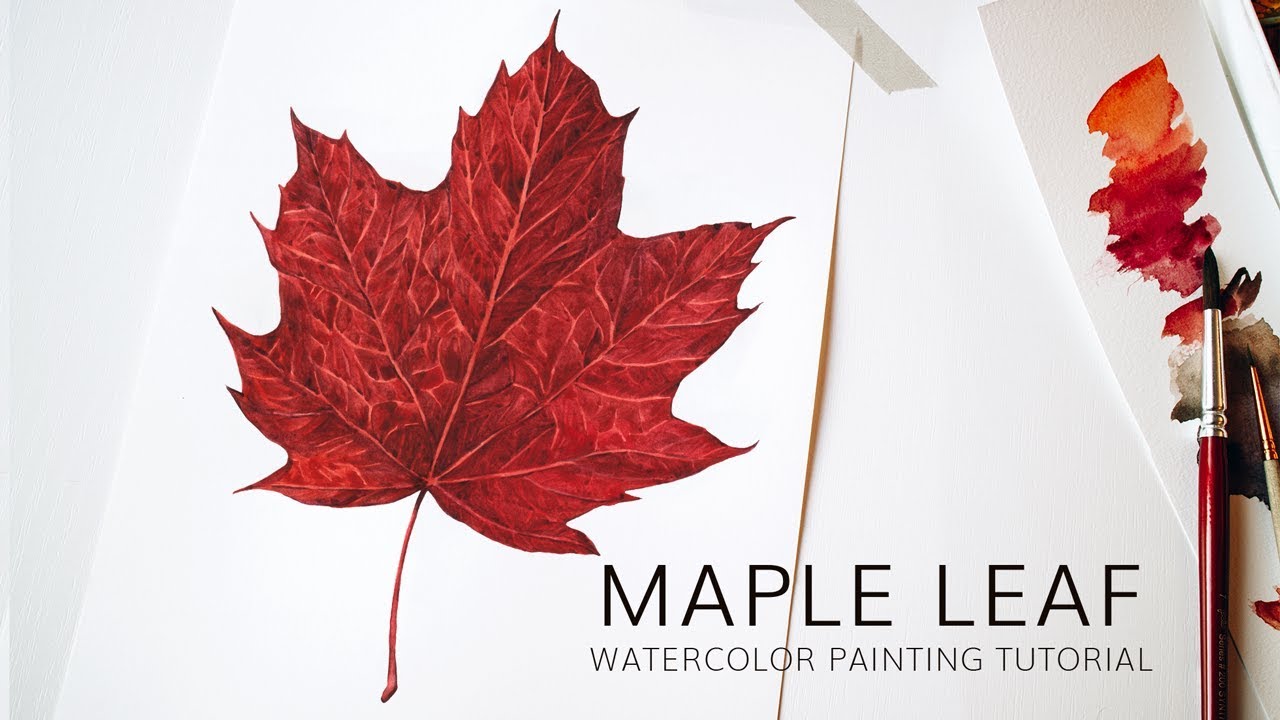 1280x720 Red Autumn Leaf Botanical Illustration Tutorial Painting - Watercolor Maple Leaves