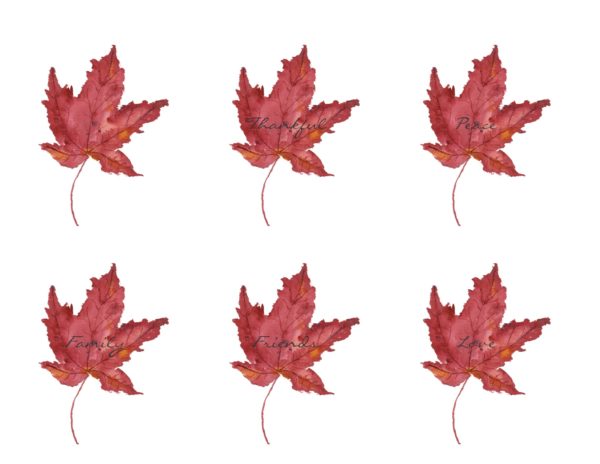 600x464 Watercolor Maple Leaf (Free Printable) - Watercolor Maple Leaves