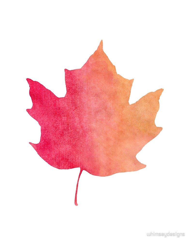 786x1000 Watercolor Maple Leaf For Fall By Whimseydesigns Redbubble - Watercolor Maple Leaves