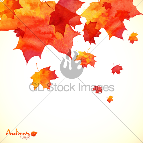 500x500 Watercolor Painted Orange Maple Leaves Autumn Background Gl - Watercolor Maple Leaves