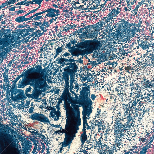 640x640 Gorgeous Textured Images Of Old Marbled Paper. Abstract Grunge - Watercolor Marble Effect