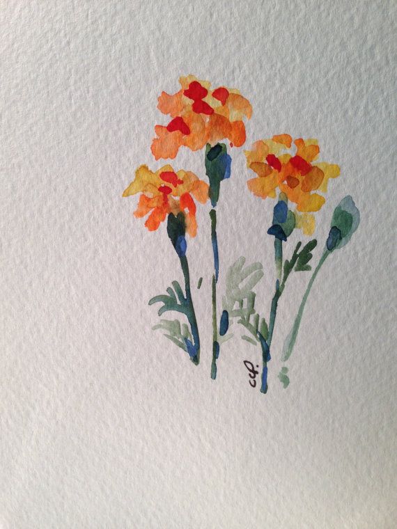 570x760 Marigold Watercolor Card Photo Watercolor Cards - Watercolor Marigold