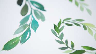 373x210 Beginning Watercolor By Yao Cheng - Watercolor Mark