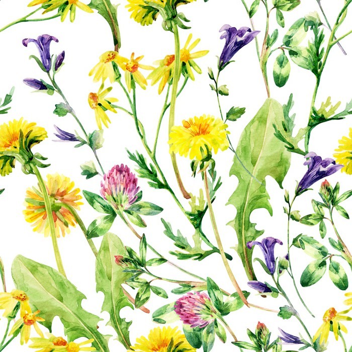 700x700 Meadow Watercolor Wild Flowers Seamless Pattern Wall Mural - Watercolor Meadow