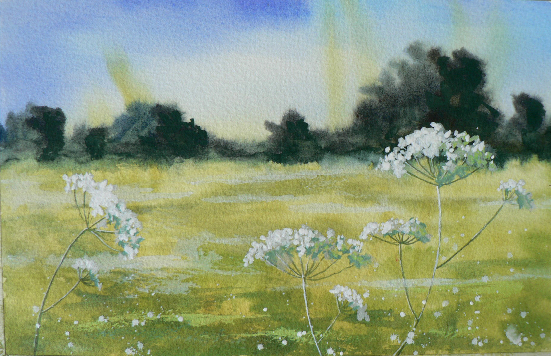 1838x1188 Summer Meadow Art Demo In Gouache Alison Fennell Art - Watercolor Meadow