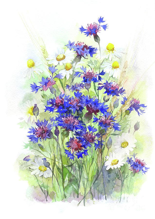 637x900 Watercolor Meadow Flowers Painting By Mary Pashkova - Watercolor Meadow