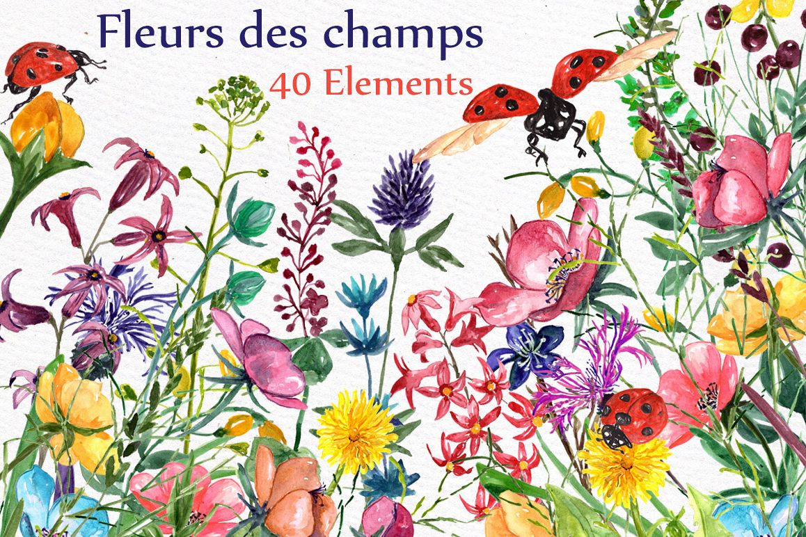 1158x772 Watercolor Meadow Flowers Clipart - Watercolor Meadow