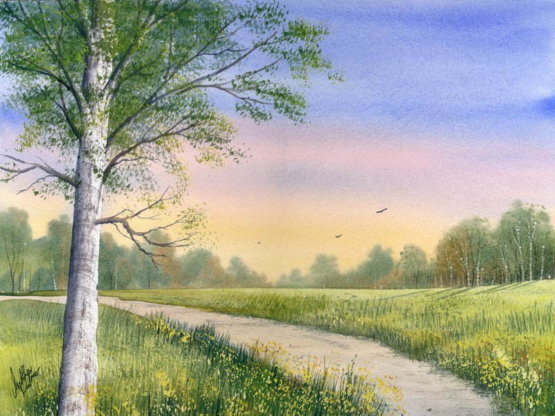 800x600 Watercolour Tutorial Paint A Meadow With Realistic Birch Trees - Watercolor Meadow