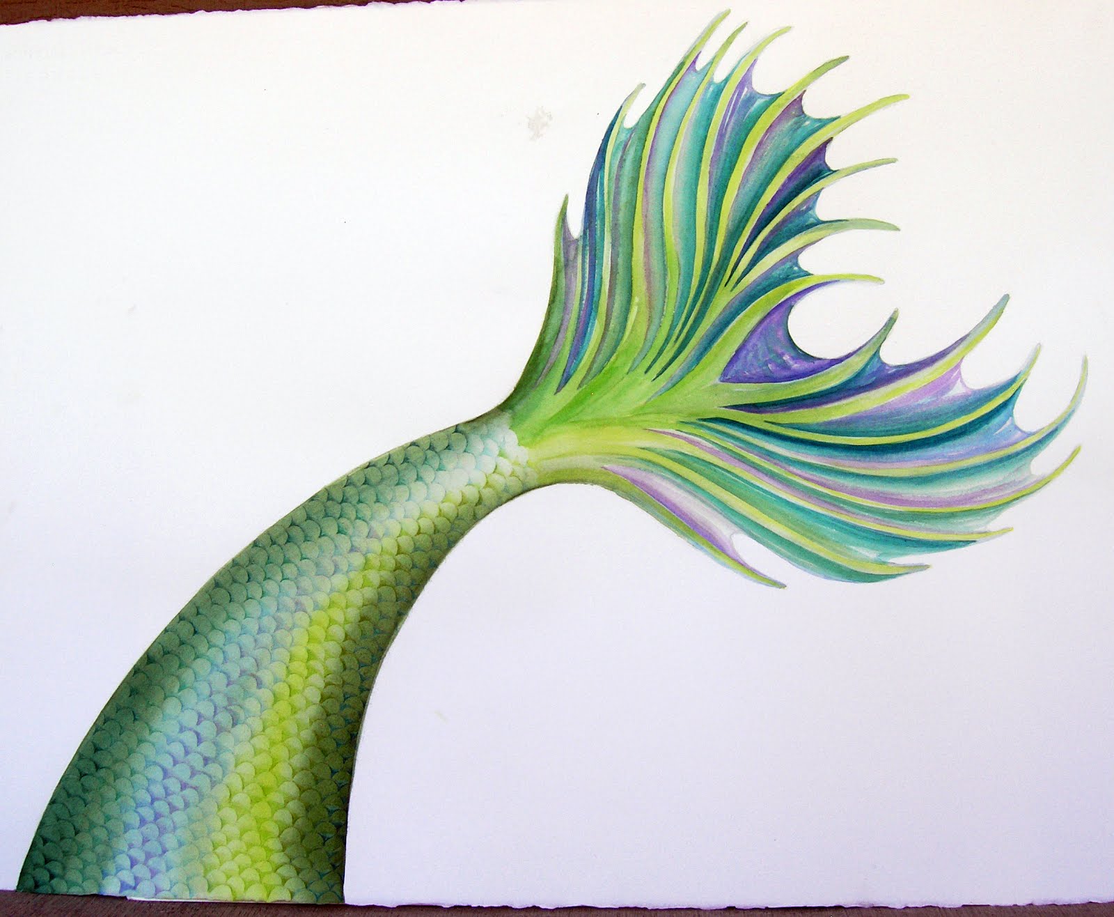 1600x1316 The Art Of Amanda Reisinger Mermaid Watercolor - Watercolor Mermaid Tail