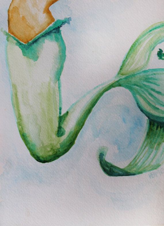 570x784 Fine Art Print, Watercolor, Mermaid, Fishtail, 8x10 Watercolor - Watercolor Mermaid Tail