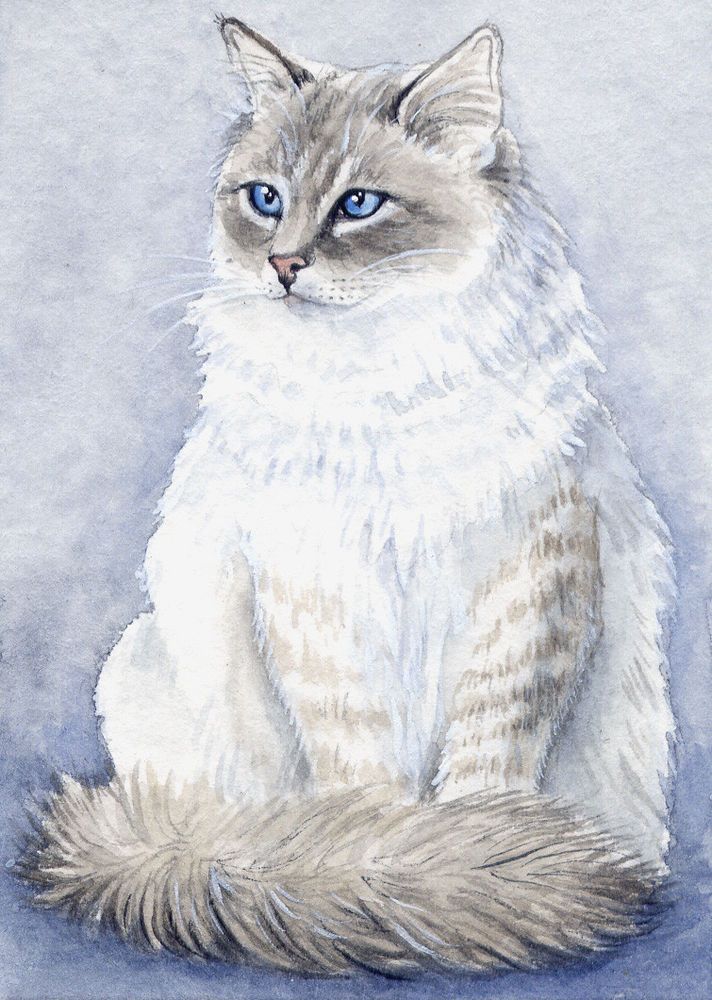 712x1000 Aceo Original Miniature Watercolor Painting Cats By Elena - Watercolor Miniatures