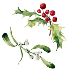 240x240 Search Photos Watercolor Mistletoe - Watercolor Mistletoe