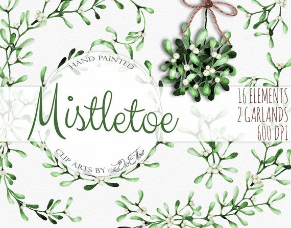 570x448 Watercolor Mistletoe Clipart Winter Clip Art Christmas Flowers Etsy - Watercolor Mistletoe