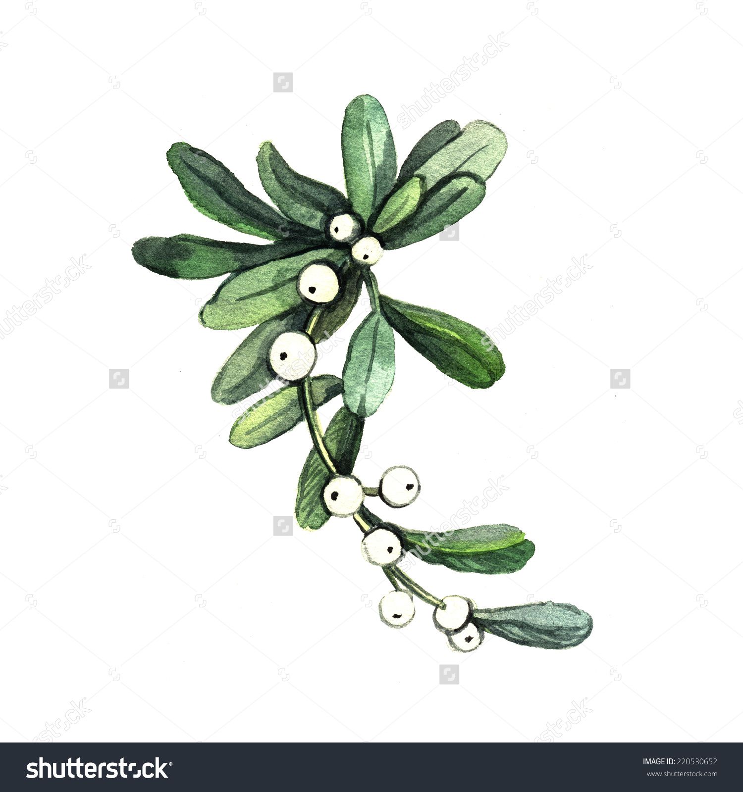 1500x1600 Image Result For Watercolor Mistletoe Mood Board - Watercolor Mistletoe