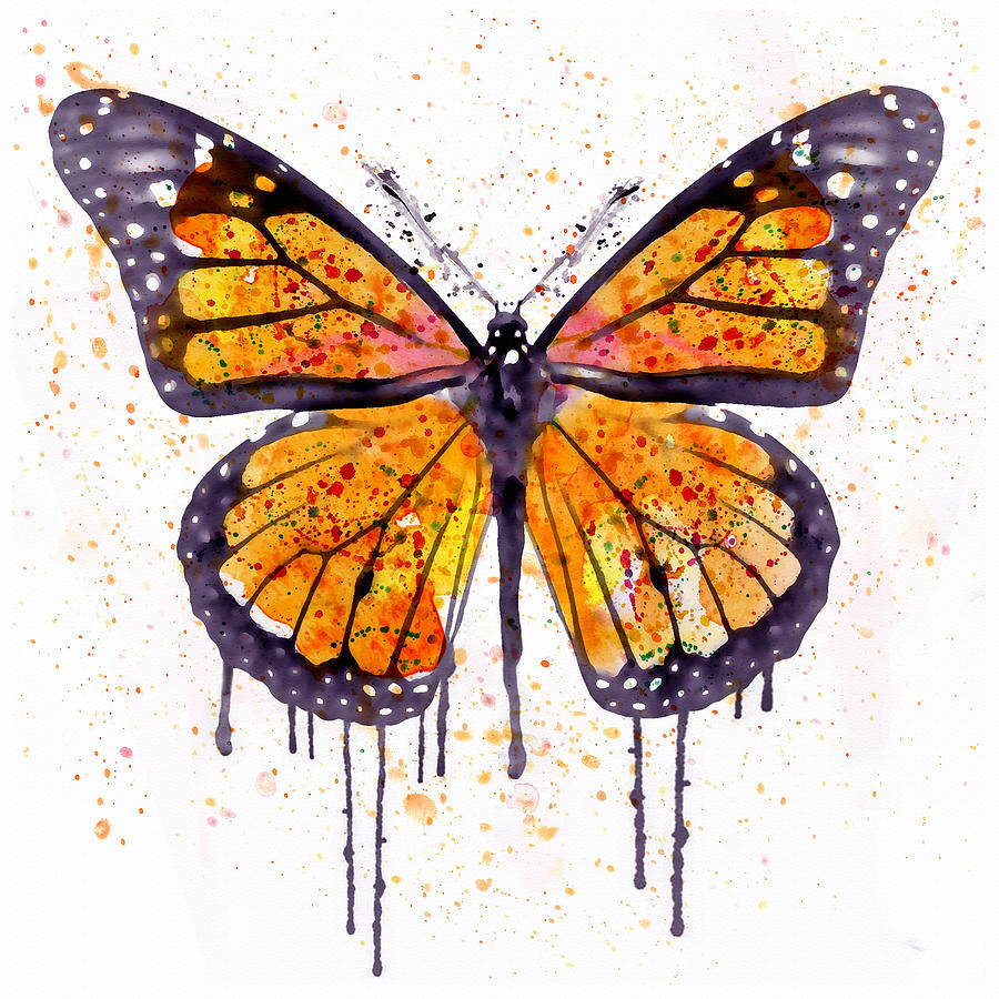 900x900 Monarch Butterfly Watercolor Painting By Marian Voicu - Watercolor Monarch Butterfly