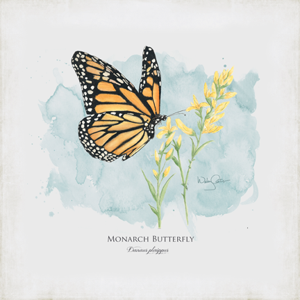 432x432 Monarch Butterfly - Watercolor Monarch Butterfly