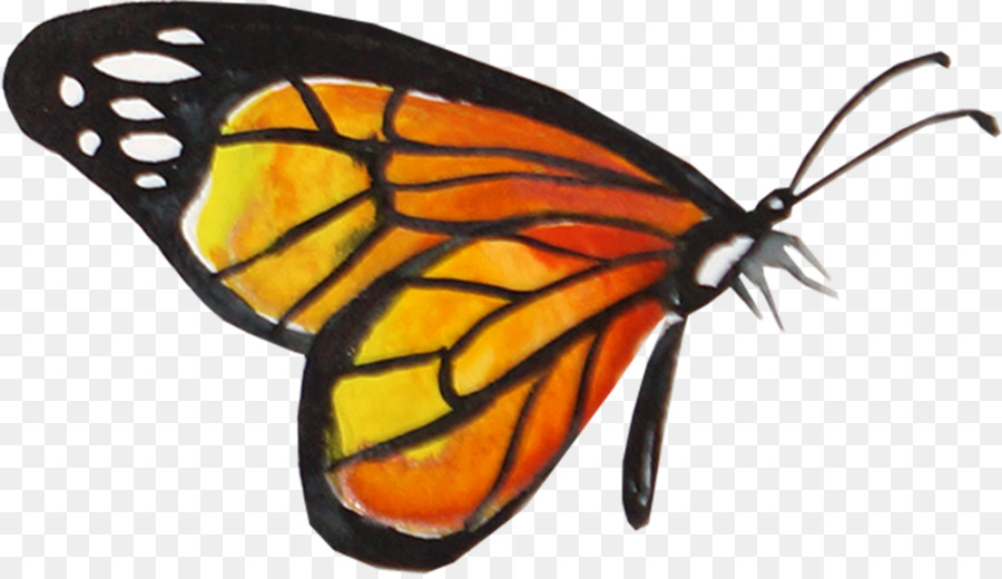 900x520 Monarch Butterfly - Watercolor Monarch Butterfly