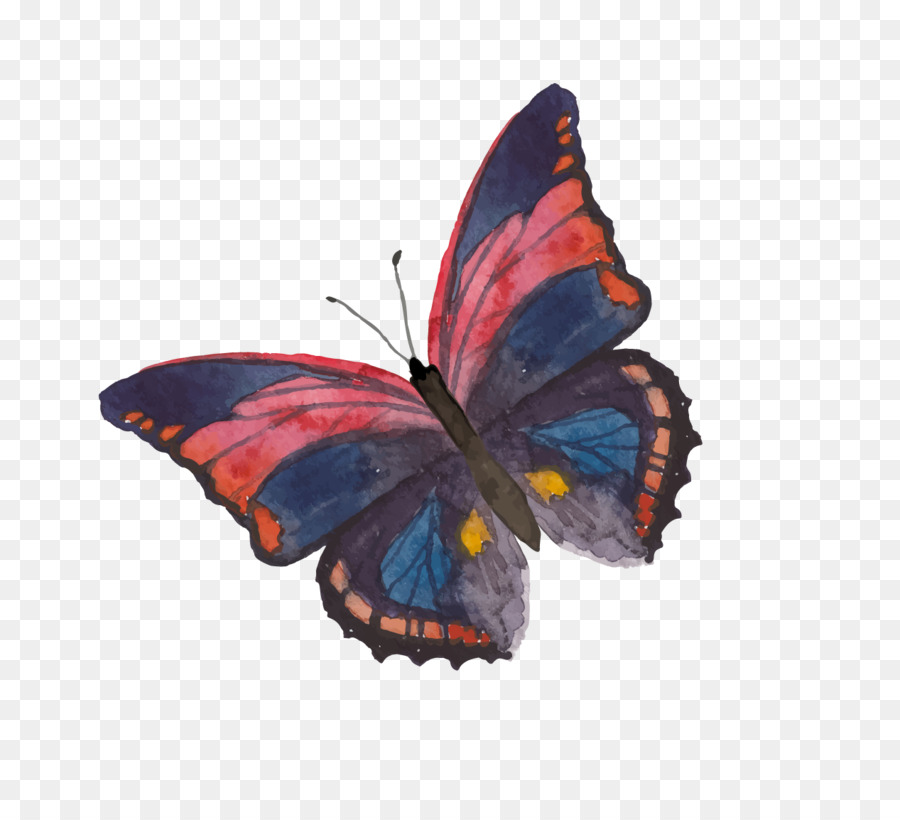 900x820 Papillon Dog Monarch Butterfly Watercolor Painting - Watercolor Monarch Butterfly