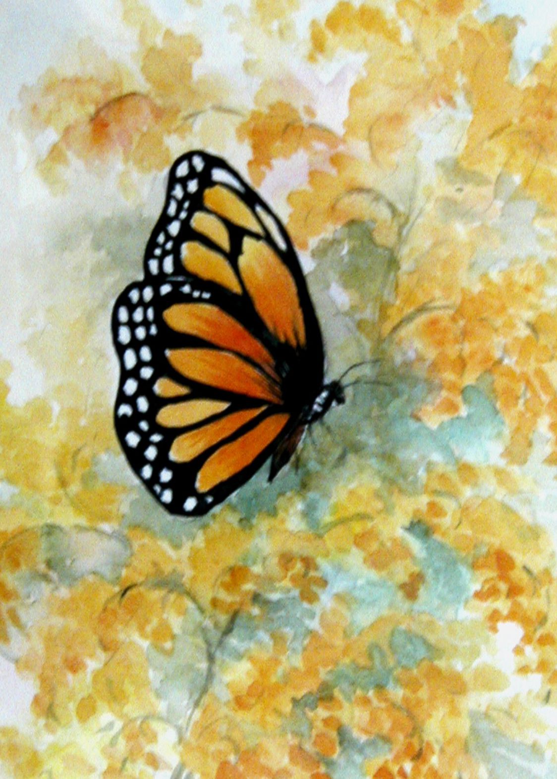 1124x1573 Watercolor Drawings Of Butterflies Monarch Butterfly On - Watercolor Monarch Butterfly