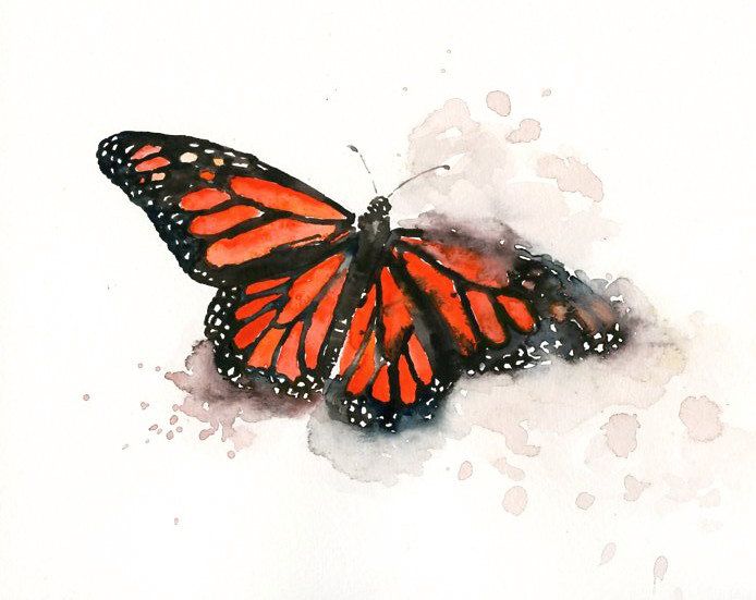 694x551 Monarch Butterfly By Dimdi Original Watercolor Painting 10x8inch - Watercolor Monarch Butterfly