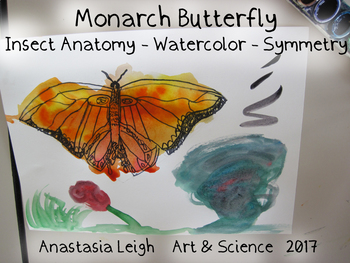 350x263 Monarch Butterflies Watercolor By Anastasiathinks Tpt - Watercolor Monarch Butterfly