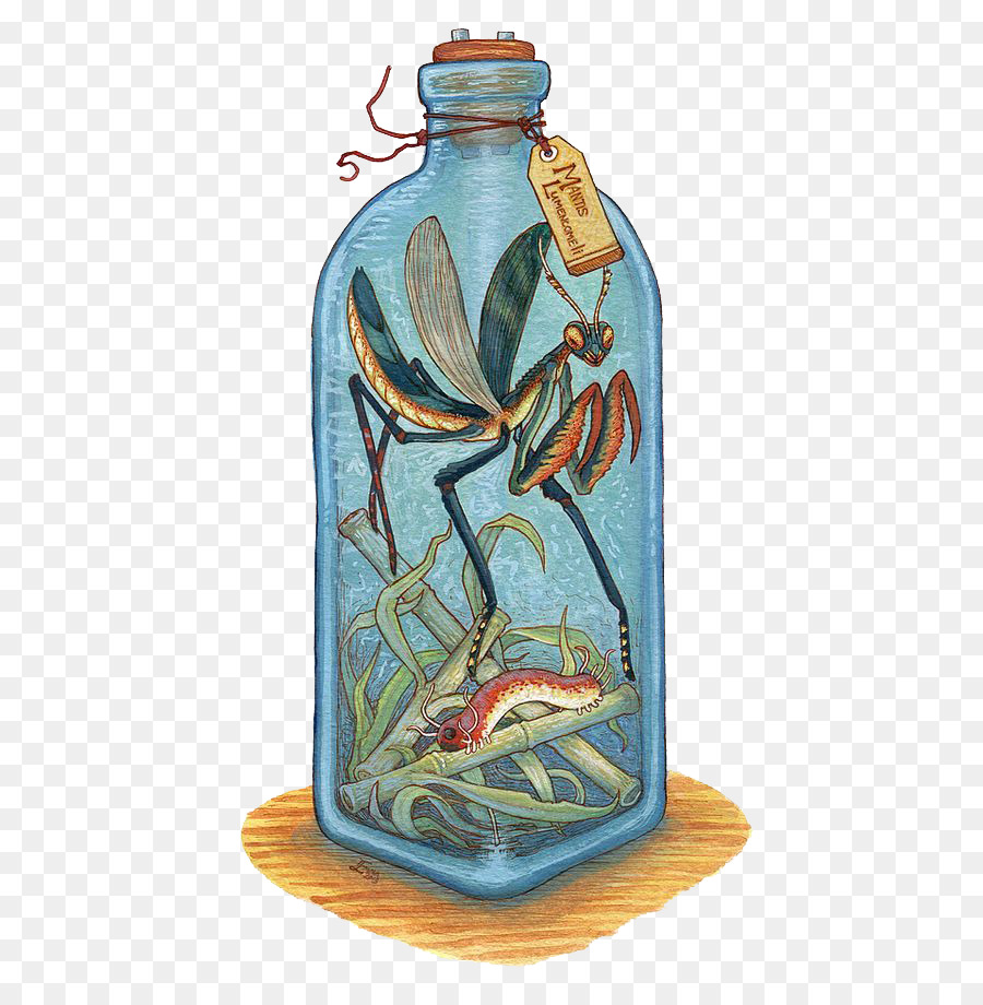 900x920 Legendary Creature Drawing Bottle Watercolor Painting Monster - Watercolor Monster