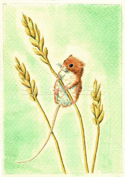 Watercolor Mouse at PaintingValley.com | Explore collection of ...