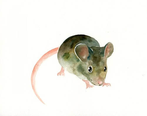 Watercolor Mouse at PaintingValley.com | Explore collection of ...