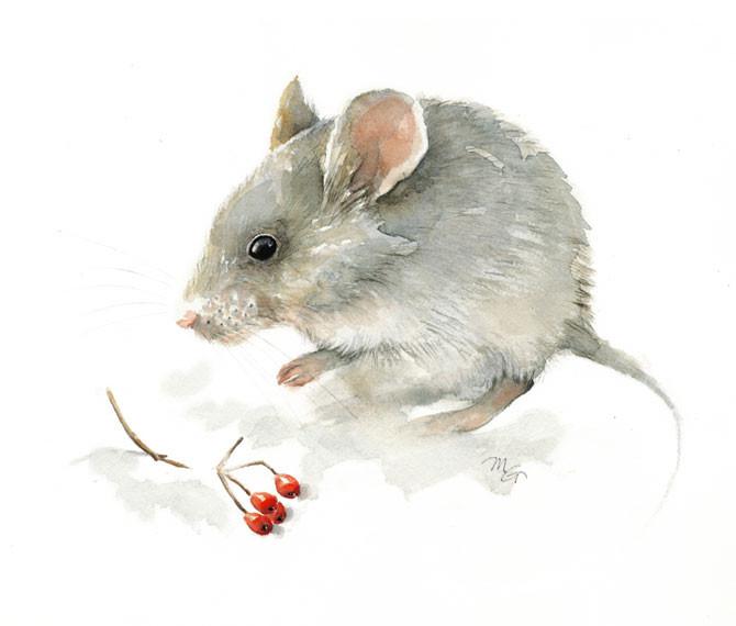 670x570 Mouse Watercolor Archival Print Mira Guerquin Watercolors - Watercolor Mouse
