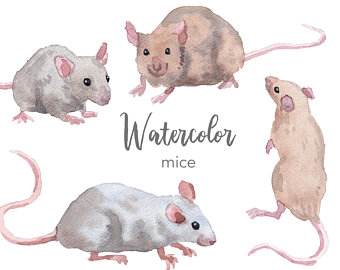 340x270 Mouse Watercolor Etsy - Watercolor Mouse