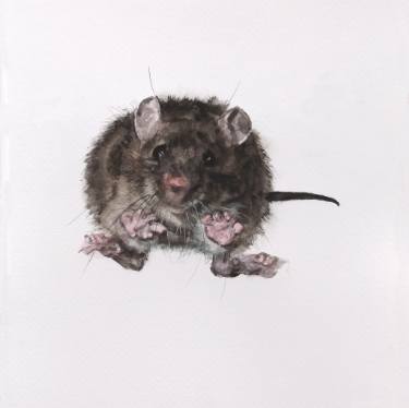375x374 Animal Little Mouse - Watercolor Mouse