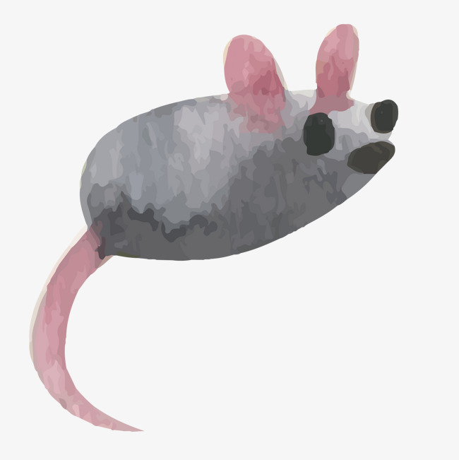650x651 Vector Watercolor Mouse, Vector, Watercolor, Mouse Png And Vector - Watercolor Mouse