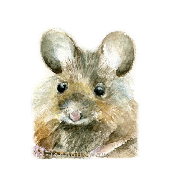 Watercolor Mouse at PaintingValley.com | Explore collection of ...