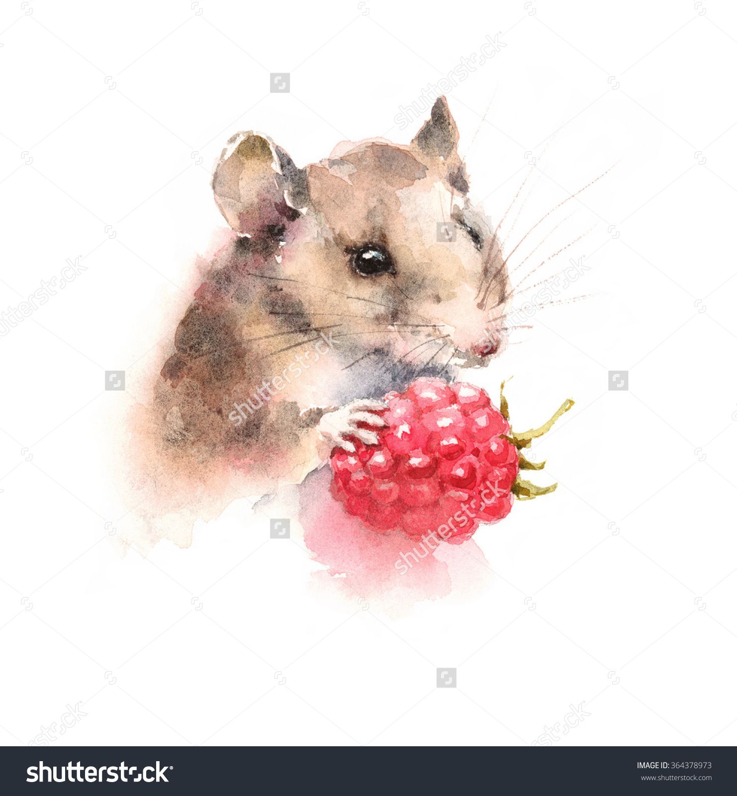 1482x1600 Stock Photo Watercolor Mouse Holding A Berry Raspberry Wild Animal - Watercolor Mouse