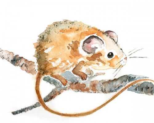 500x400 Cute Mouse Watercolor, Nursery Art Print - Watercolor Mouse