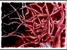 236x177 Irina Dakeva - Watercolor Music Video