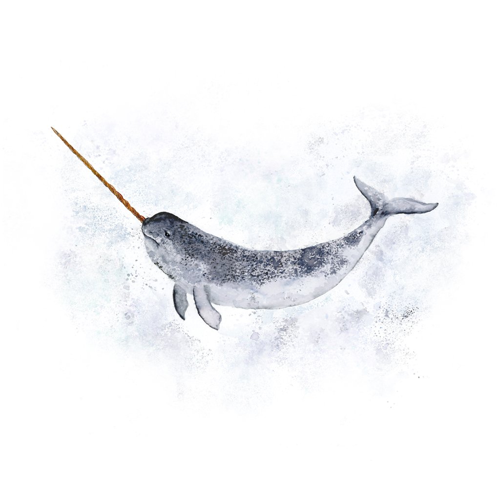 1024x1024 Narwhal Art Nursery Print Tiny Toes Design - Watercolor Narwhal
