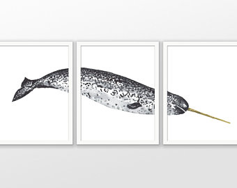 340x270 Narwhal Watercolor Etsy - Watercolor Narwhal