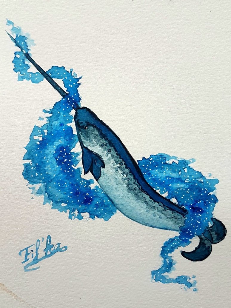 774x1032 Watercolor Narwhal By Eif Ka - Watercolor Narwhal